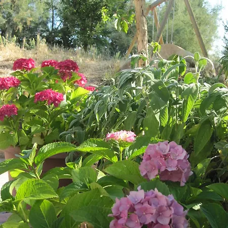 팜스테이 I Calanchi Agriturismo 몽테칼보인포글리아